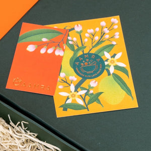 Mango Orchard Gift Box (Set of 4) (New!)